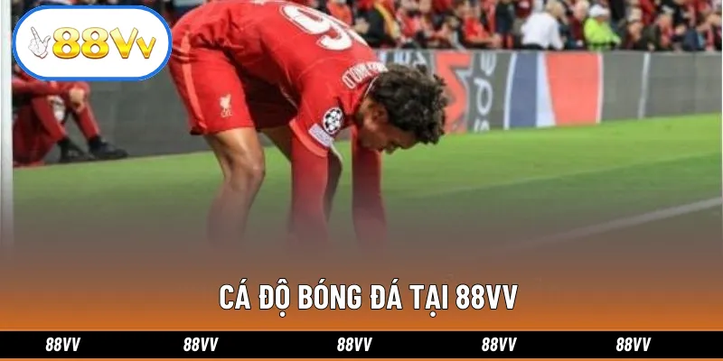 Cá Độ Bóng Đá Tại 88VV: Sân Chơi Đẳng Cấp Hàng Đầu